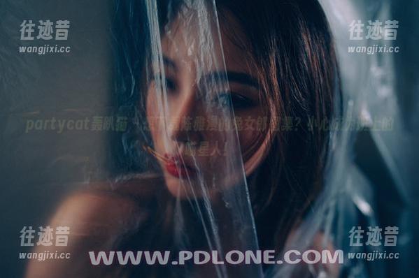partycat轰趴猫 - 想下载陈雅漫的兔女郎图集？小心成为班上的喵星人！