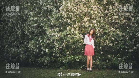 又有新番啦！沧霁桔梗美图更新，只想说“这角度好！”