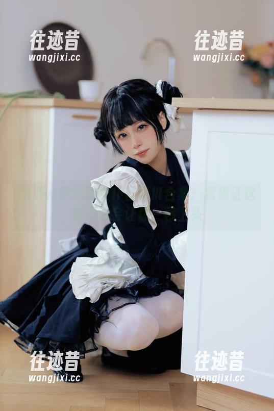 洛桑w伊梓的女仆日记Ⅲ合集：我保证这些图包会让你一秒上头